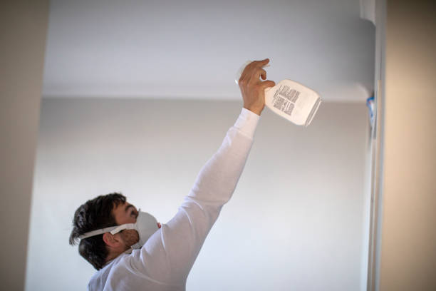 Best Commercial Mold Remediation in Sunrise, FL