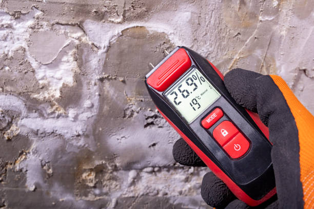 Best Crawl Space Mold Remediation in Sunrise, FL