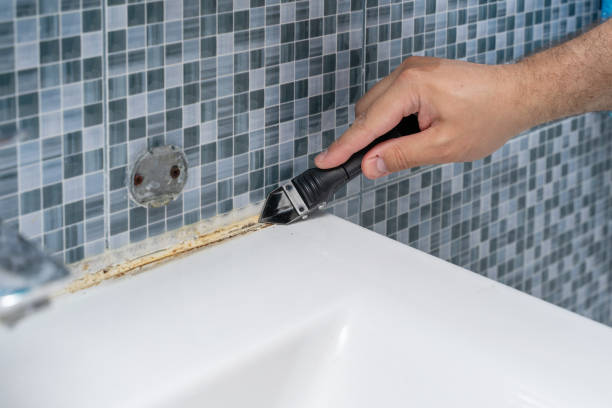 Best Preventive Mold Services in Sunrise, FL