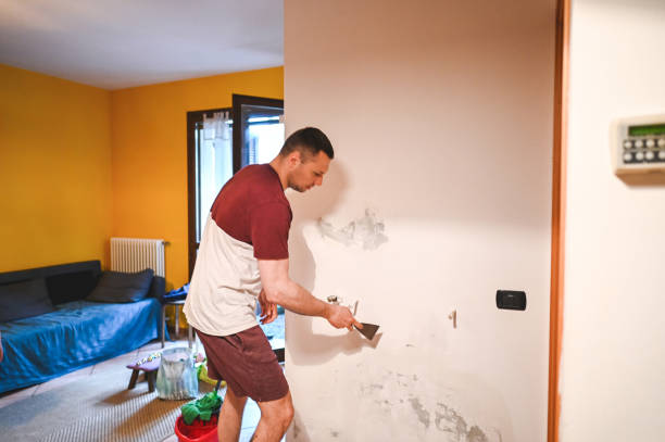 Best Mold Testing and Inspection Services in Sunrise, FL
